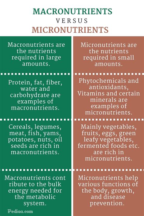 list of macronutrients and micronutrients